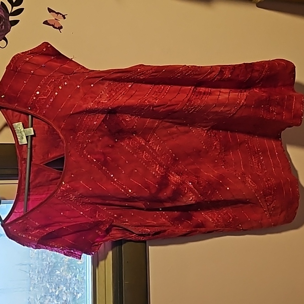 Beautiful Dressbarn Classy Blouse 👚